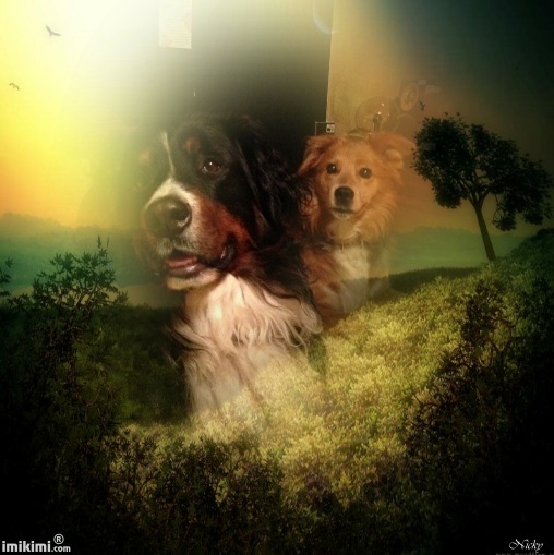 Sunset-Nicky47-2zxDa-6cxMm-normal.jpg