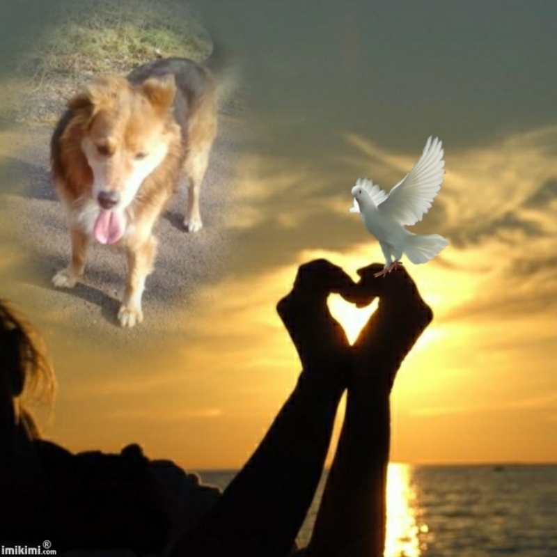 Tess-Showing-Some-Love-2zxDa-30L5J-normal.jpg