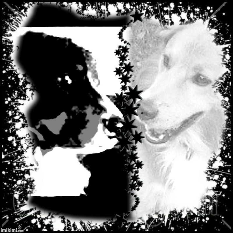 portrait-2zxDa-5Qfjs-normal.jpg